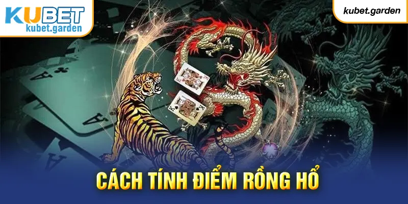 Cách tính điểm Rồng Hổ Kubet hội viên nên nhớ