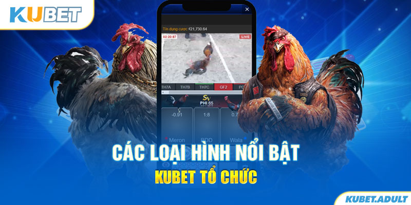 Các loại hình nổi bật kubet tổ chức